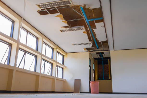 Best Fire Damage Restoration  in Ettrick, VA