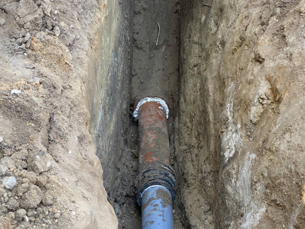 Best Professional water damage repair  in Ettrick, VA