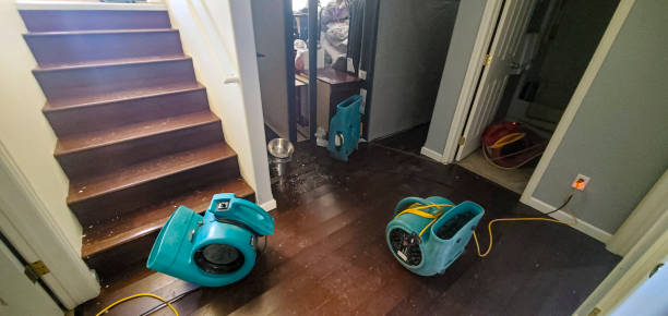 Best Commercial water damage restoration  in Ettrick, VA