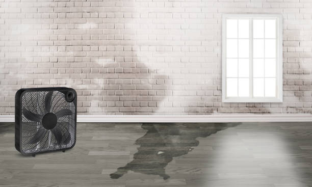 Best 24-hour water damage restoration  in Ettrick, VA