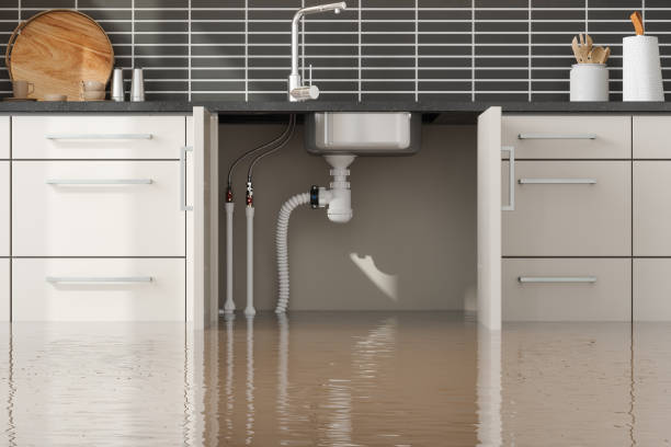 Best Emergency water damage restoration  in Ettrick, VA