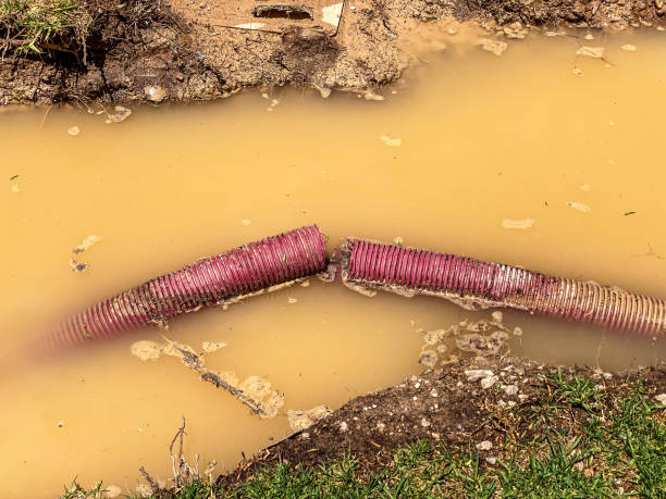 Best Flood restoration services  in Ettrick, VA